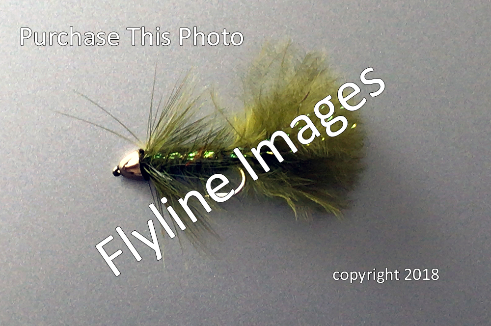 El Vado Ranch Chama River, Fly Fishing, Rustic Cabins, Hunting