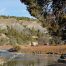 Chama River, El Vado Ranch, Fly Fishing, New Mexico