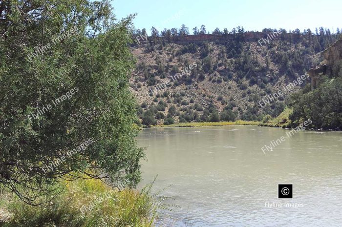 Coopers El Vado Ranch, Tierra Amarilla New Mexico, Chama River Fly Fishing