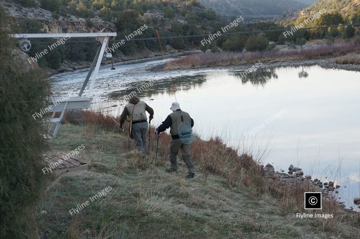 Chama River, Fly Fishing