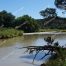 Chama River, Fly Fishing