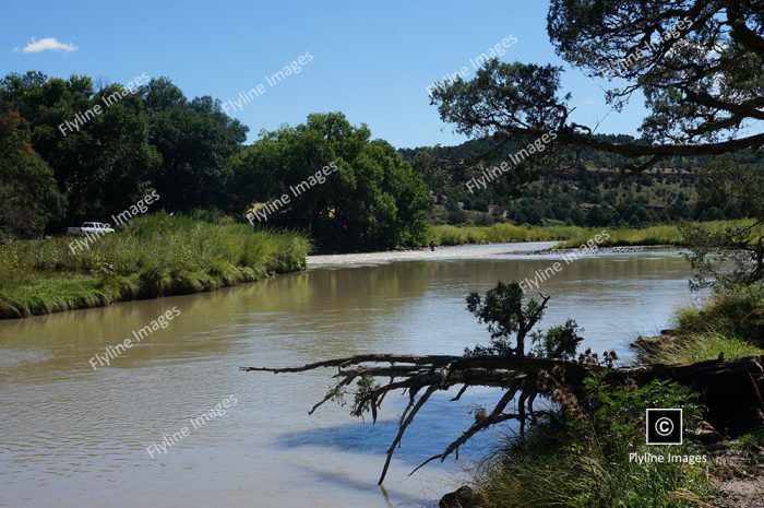 Chama River, Fly Fishing