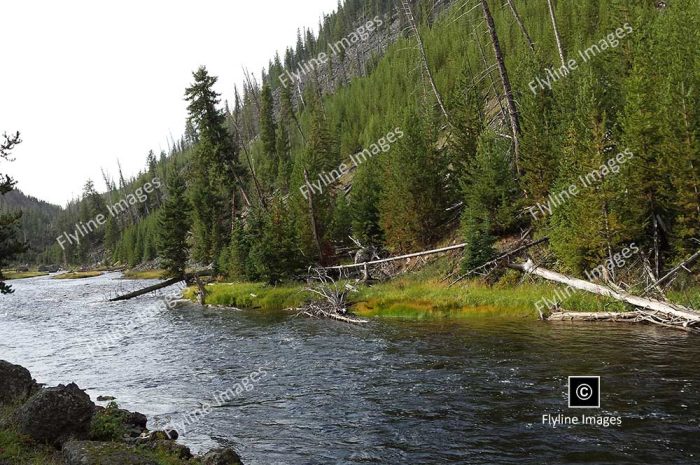 Firehole River, Yellowstone