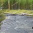 Firehole River, Yellowstone National Park