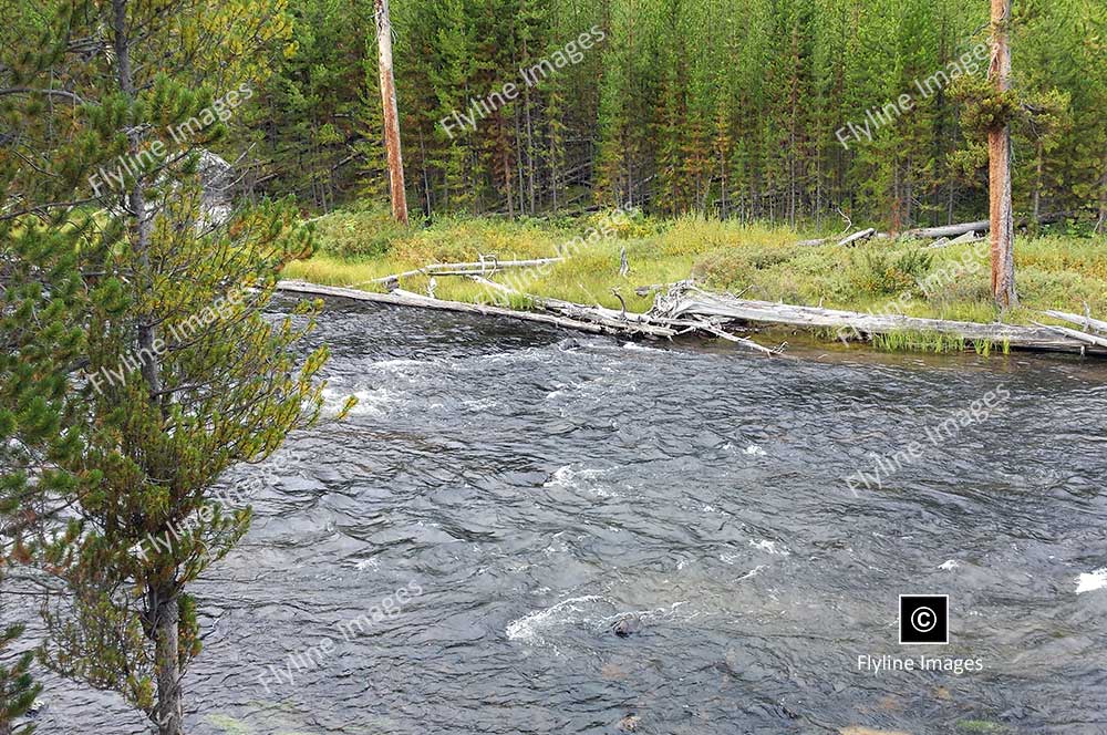 Firehole River, Yellowstone National Park