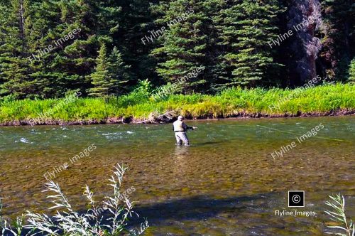 Gallatin River