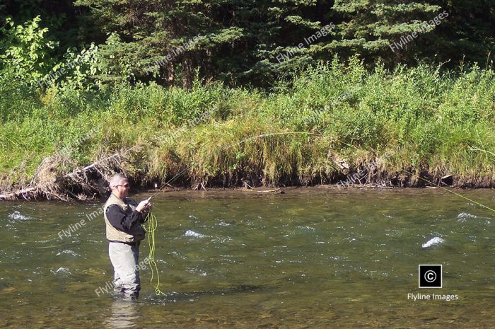 Gallatin River, Fly Fishing, Montana