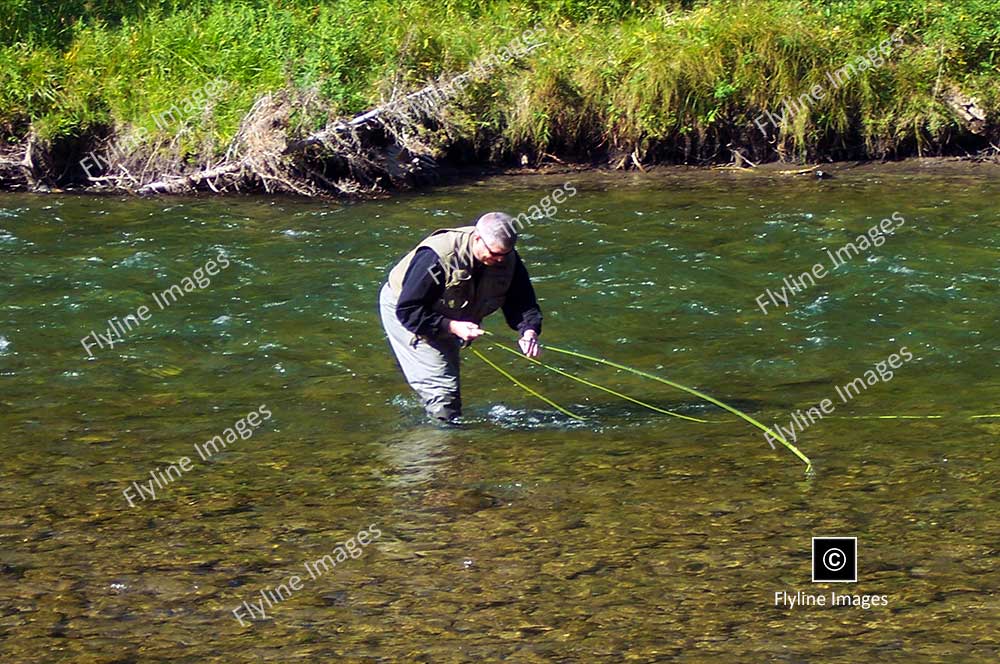 Gallatin River, Montana