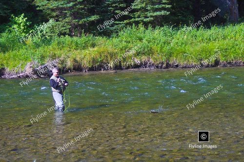 Fly Fishing Gallatin River, Montana