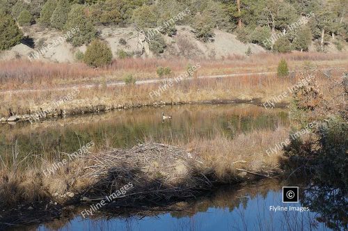 Coopers El Vado Ranch, Tierra Amarilla New Mexico, Chama River Fly Fishing