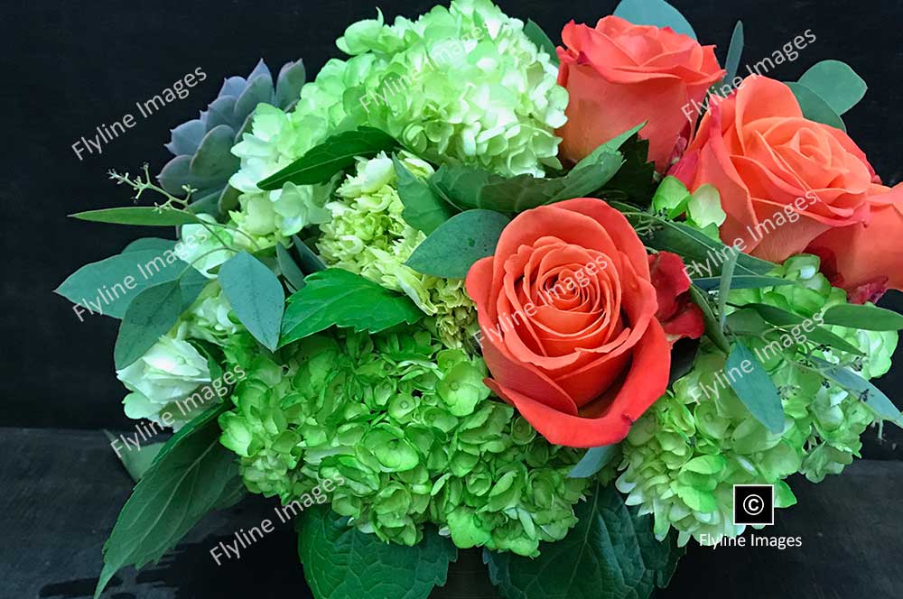 Orange Roses, Green Hydrangea