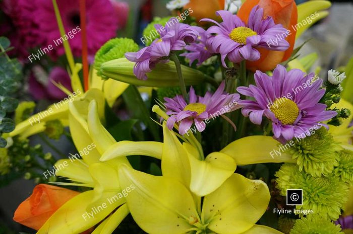 Yellow Lilies