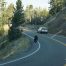 Grizzly Bear, Yellowstone