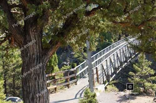 Hellroaring Trail, Yellowstone National Park, Trail Hikes In Yellowstone