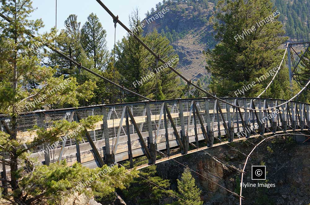 Hellroaring Trail, Yellowstone National Park, Trail Hikes In Yellowstone