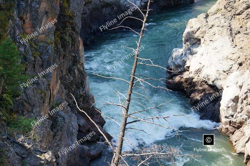 Hellroaring Trail, Yellowstone National Park, Trail Hikes In Yellowstone