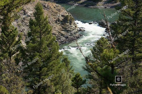 Hellroaring Trail, Yellowstone National Park, Trail Hikes In Yellowstone