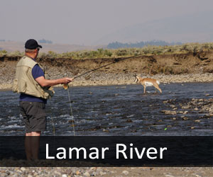 Lamar River