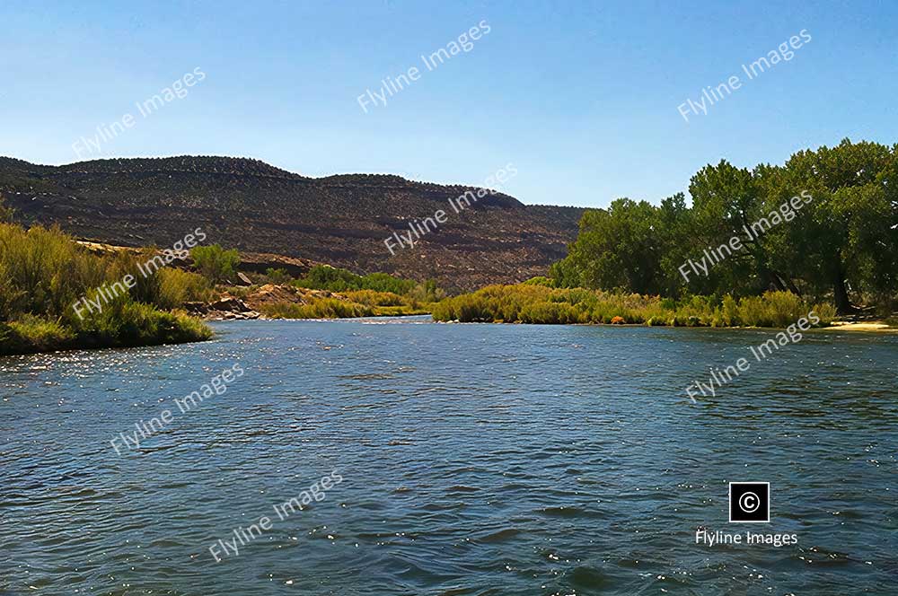 San Juan River, New Mexico, Navajo Dam, Fly Fishing