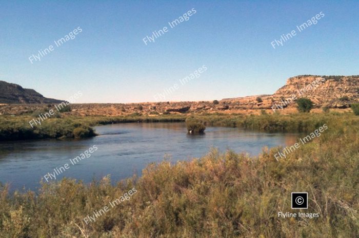 Fly Fishing, San Juan River