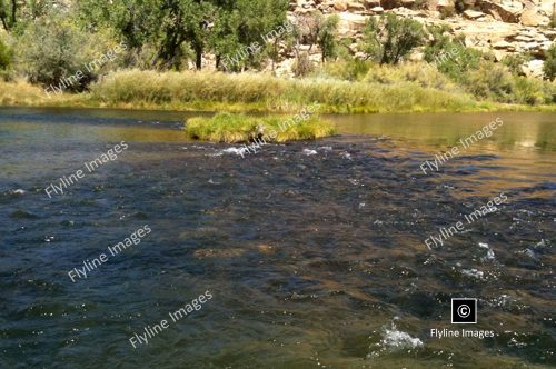 San Juan River