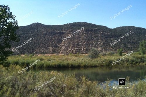 Fly fishing on the San Juan River, just below Navajo Dam in New Mexico