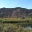 Fly fishing on the San Juan River, just below Navajo Dam in New Mexico