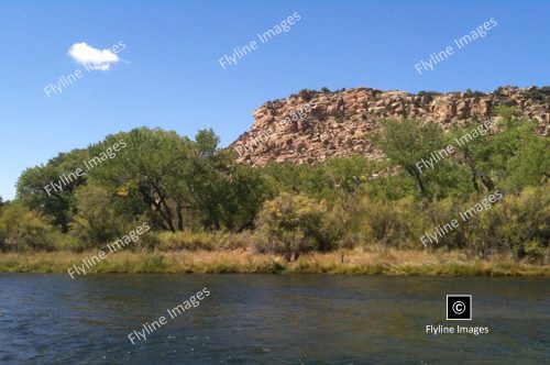 Fly fishing on the San Juan River, just below Navajo Dam in New Mexico