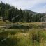 Slough Creek, Yellowstone