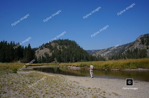 Slough Creek, First Meadow, Yellowstone National Park