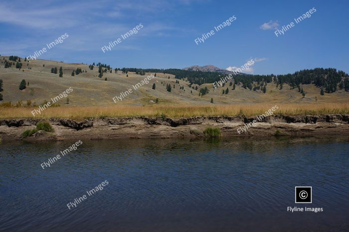 Slough Creek, First Meadow, Yellowstone