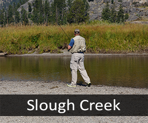 Slough Creek