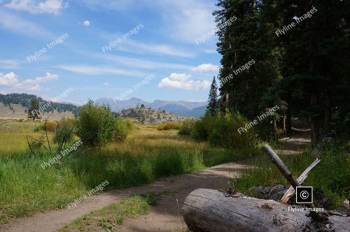 Slough Creek Trail, Yellowstone National Park