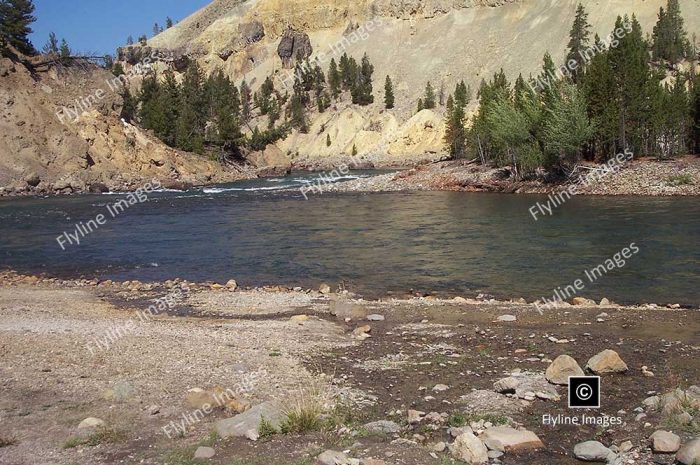 Yellowstone River, Tower Junction, Yellowstone National Park