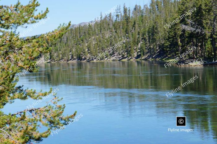 Yellowstone River