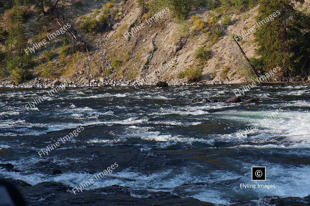 Yellowstone River, Yellowstone National Park