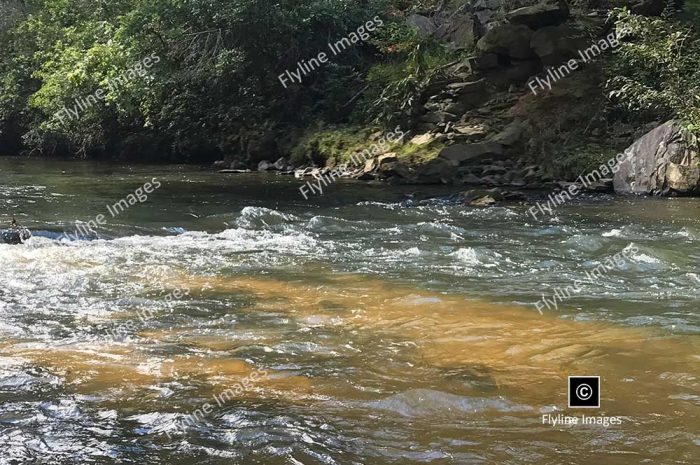 Amicalola River