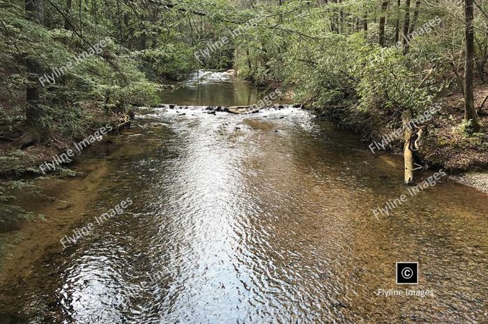 Amicalola River