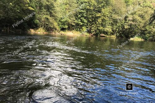 Amicalola River, North Georgia