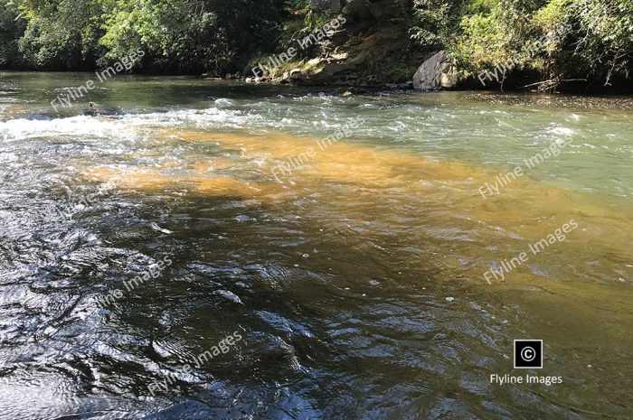 Amicalola River