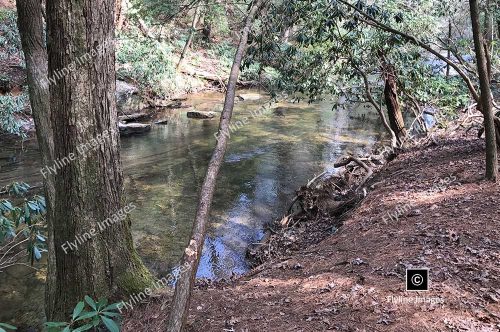 Amicalola River