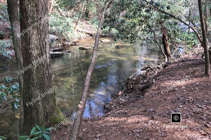 Amicalola River