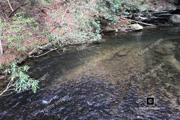 Amicalola River