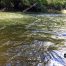 Amicalola River, North Georgia