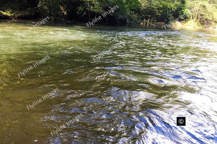 Amicalola River, North Georgia