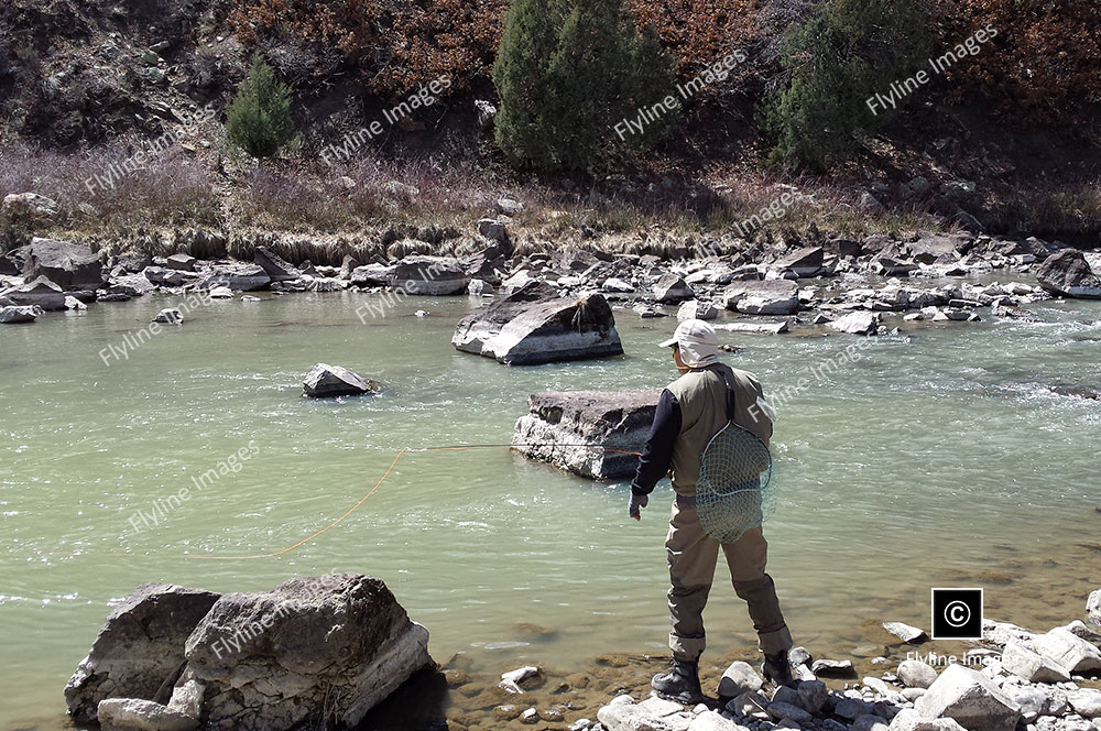 Chama River, Steve Lein, Fly Fishing, New Mexico