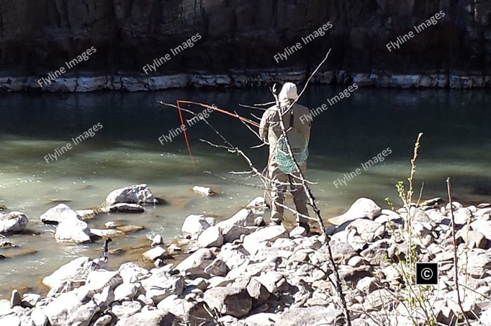 Chama River, Near El Vado Dam