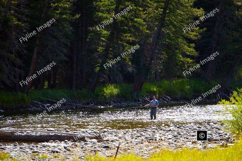 Fly Fishing, Gallatin River