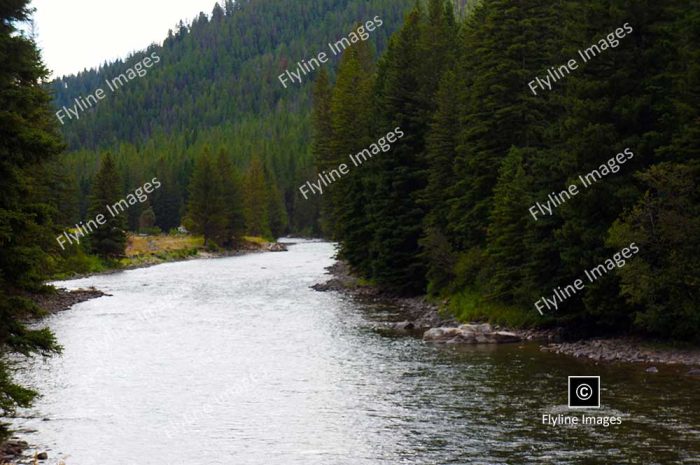 Gallatin River