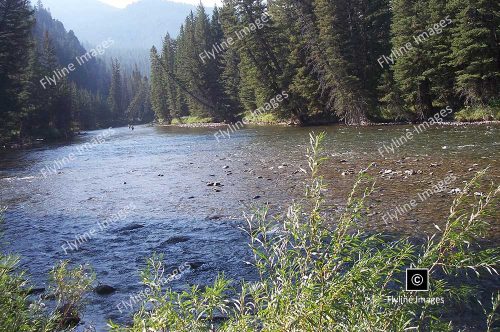 Gallatin River, Fly Fishing, Big Sky Montana